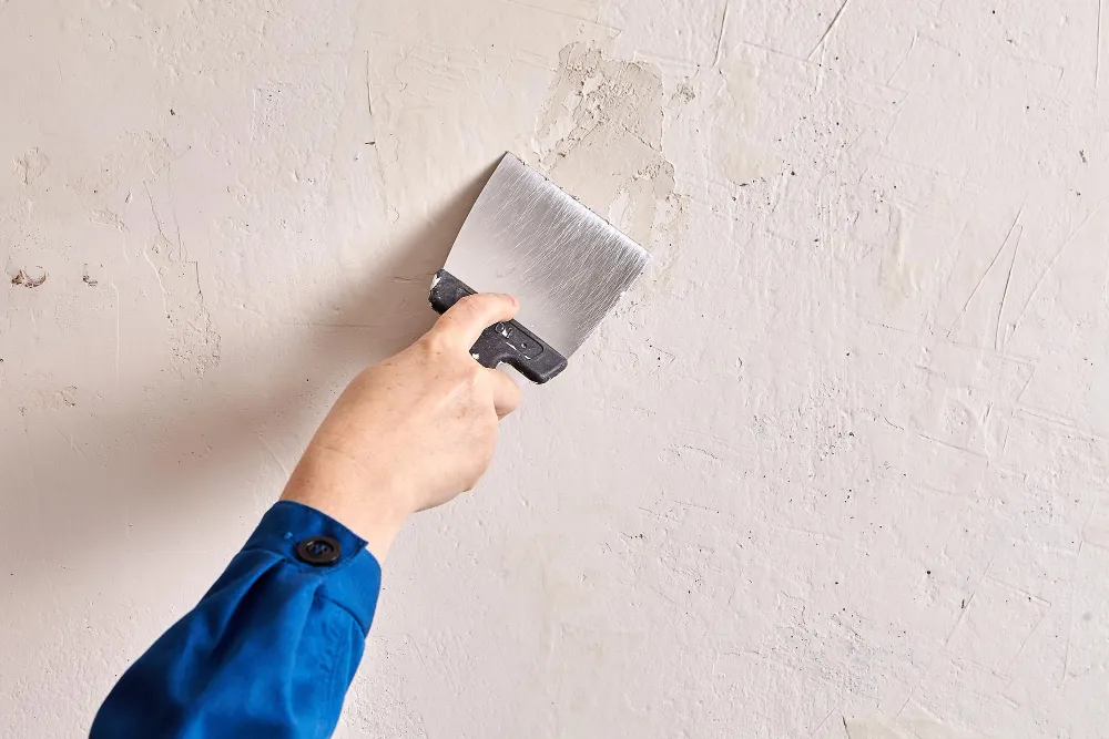 Maintenance-focused home painting services